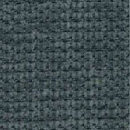 Sensation Spruce